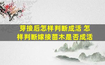 芽接后怎样判断成活 怎样判断嫁接苗木是否成活